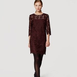 Loft maroon lace shift dress size 2